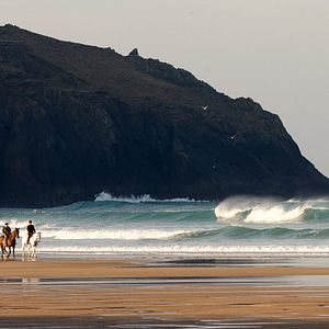 Bilder Sommer im Februar