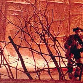 Bilder Uma Mulher Vestida de Sol