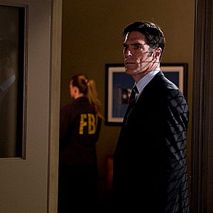 Bilder Thomas Gibson