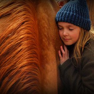 Bilder Herzenssache - Ein Pferd für die ganze Familie