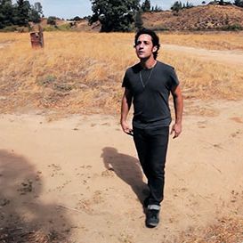 Bilder The Lost Tree