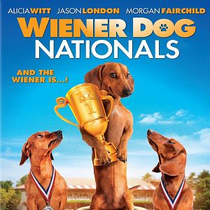 Bilder Die Dackel sind los