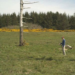 Bilder Golf in the Kingdom