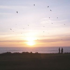 Bilder Golf in the Kingdom