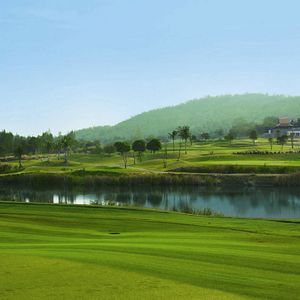 Bilder Golf in the Kingdom