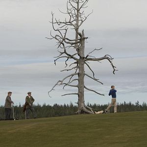 Bilder Golf in the Kingdom