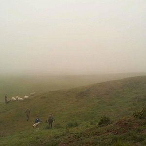 Bilder Golf in the Kingdom