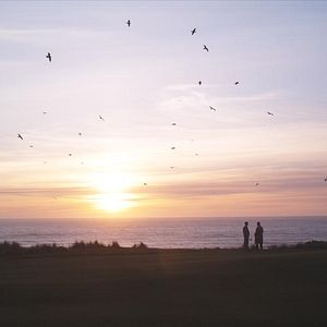 Bilder Golf in the Kingdom