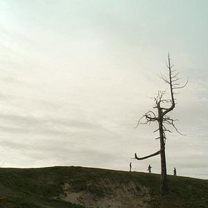 Bilder Golf in the Kingdom