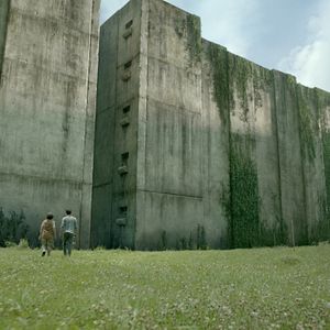 Bilder Maze Runner - Die Auserwählten im Labyrinth