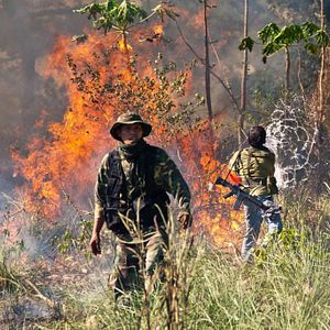 Bilder Roger Corman's Operation Rogue - Einsatz am Limit