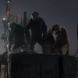 Bilder Planet der Affen 2: Revolution