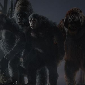 Bilder Planet der Affen 2: Revolution