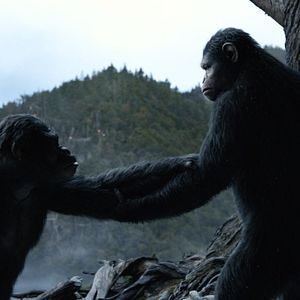 Bilder Planet der Affen 2: Revolution