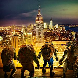 Bilder Teenage Mutant Ninja Turtles