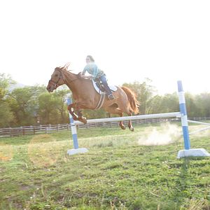 Bilder Storm Rider - Schnell wie der Wind