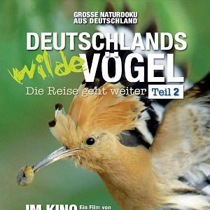Bilder Deutschlands wilde Vögel - Teil 2 - Die Reise geht weiter