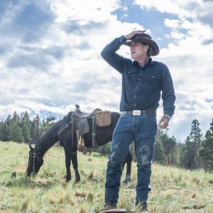 Bilder Robert Taylor (II)