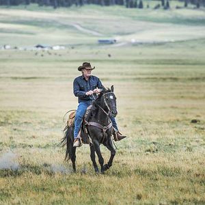 Bilder Robert Taylor (II)