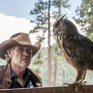 Bilder Robert Taylor (II)