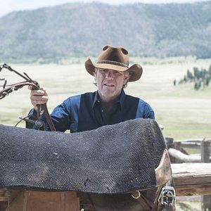 Bilder Robert Taylor (II)