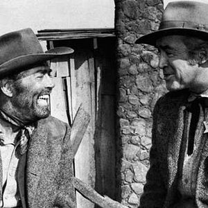 Bilder Die fünf Vogelfreien