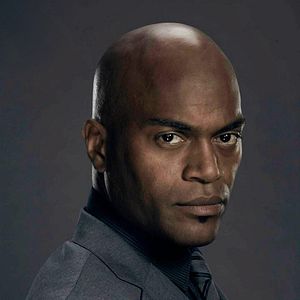 Bilder Andrew Stewart-Jones