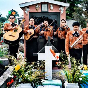 Bilder Dieses schöne Scheißleben