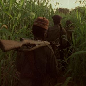 Bilder Concerning Violence