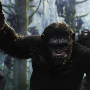 Bilder Planet der Affen 2: Revolution