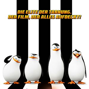 Bilder Die Pinguine aus Madagascar