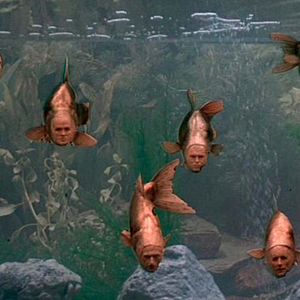 Bilder Der Sinn des Lebens