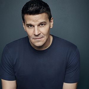 Bilder David Boreanaz