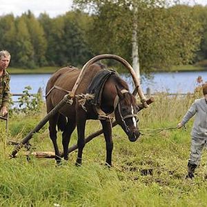 Bilder The Postman's White Nights
