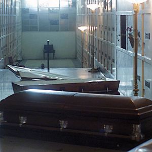 Bilder Dark Night of the Walking Dead