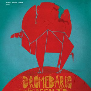 Bilder Dromedário no Asfalto