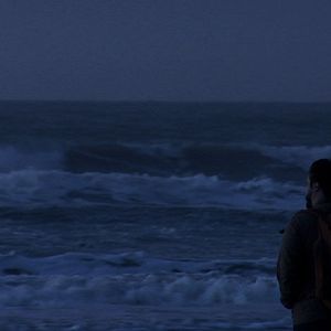 Bilder Dromedário no Asfalto