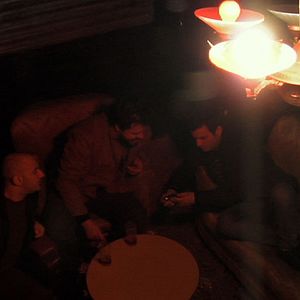 Bilder Dromedário no Asfalto