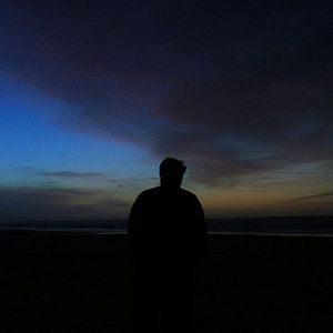 Bilder Dromedário no Asfalto