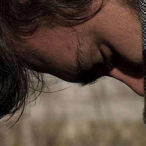 Bilder Dromedário no Asfalto