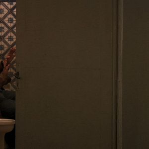 Bilder Dromedário no Asfalto