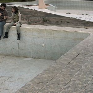 Bilder Dromedário no Asfalto