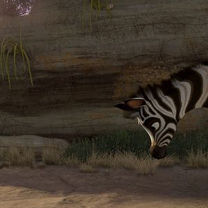 Bilder Khumba - Das Zebra ohne Streifen am Popo