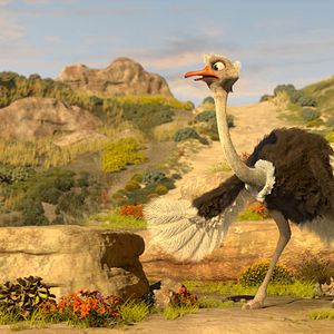 Bilder Khumba - Das Zebra ohne Streifen am Popo