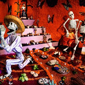 Bilder Dieses schöne Scheißleben