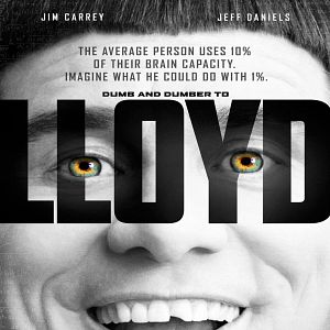 Bilder Dumm und Dümmehr