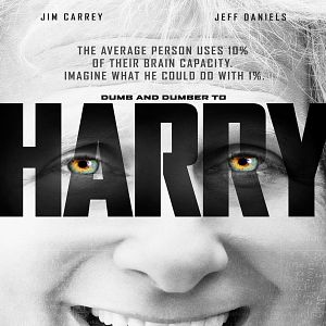 Bilder Dumm und Dümmehr