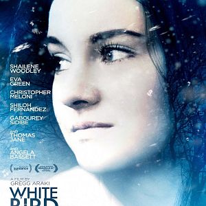 Bilder Wie ein weißer Vogel im Schneesturm