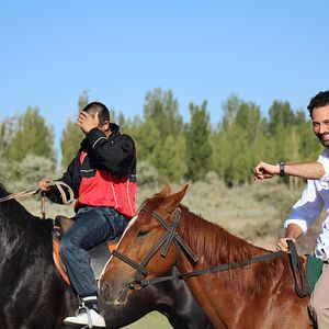 Bilder Salam: Die Reise zum Frühling