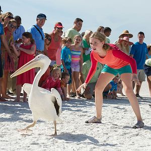 Bilder Cozi Zuehlsdorff